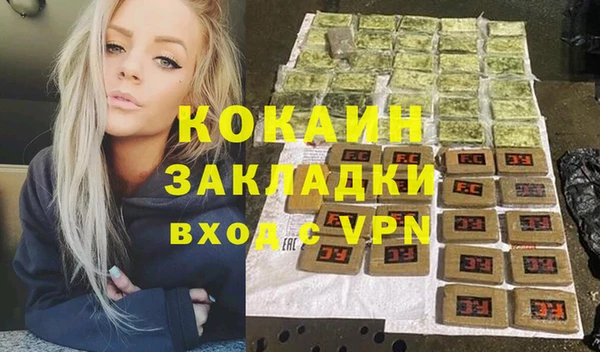 гашик Богданович