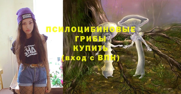 винт Каменногорск