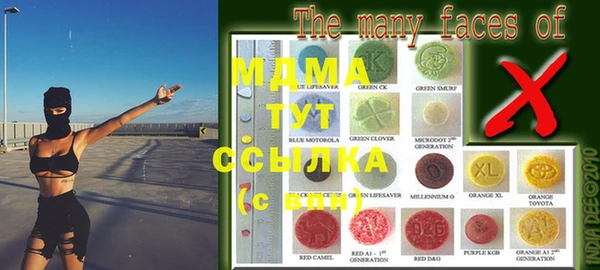 сатива Богородицк