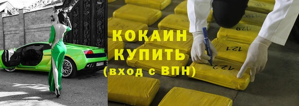 гашик Богданович