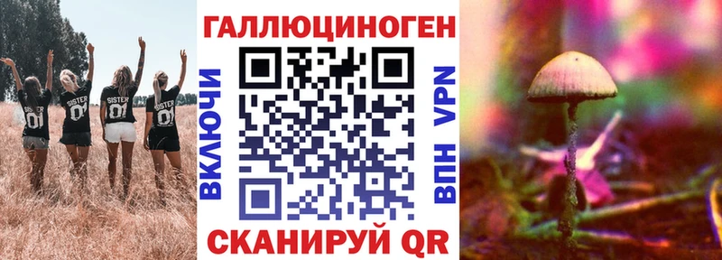 Псилоцибиновые грибы Magic Shrooms закладка Котовск